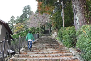温泉神社への階段