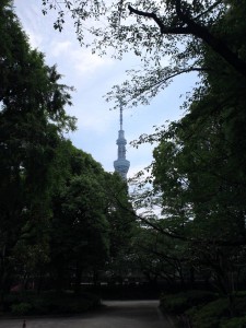 隅田公園から望むスカイツリー