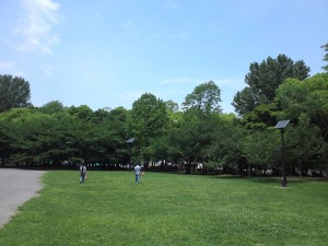 清澄公園中庭広場