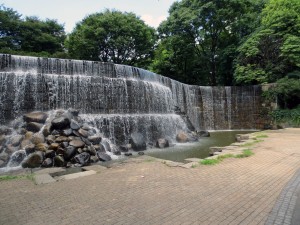 新宿中央公園の水場