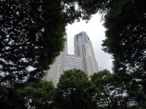 新宿中央公園から望む都庁庁舎